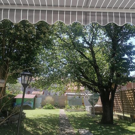 Chambre 23M2 Avec Jardin Wi-Fi Gratuit Saint-Girons Apartment Exterior photo